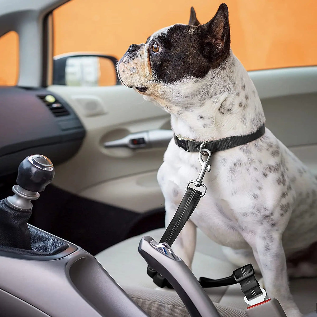 Dog Travel Seat Belt